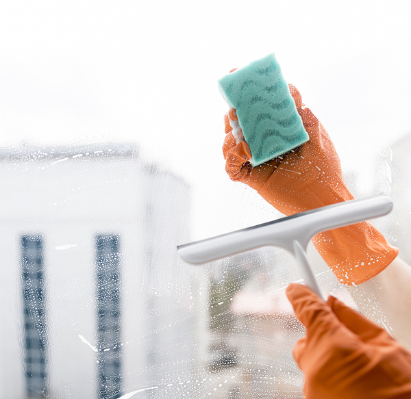 Window Cleaning
