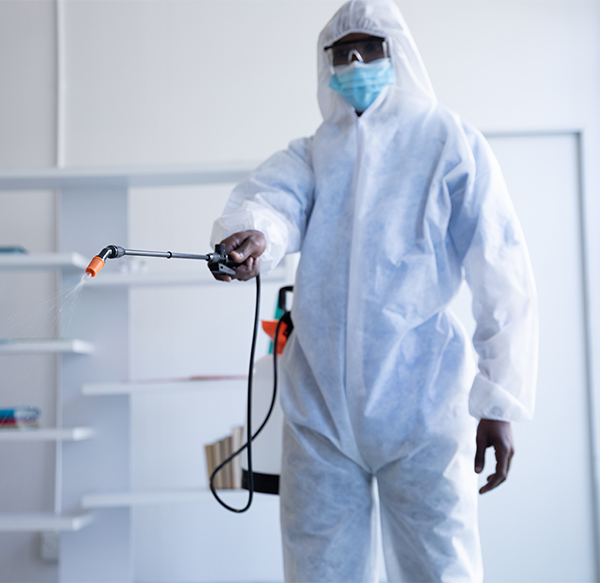 Pest control services