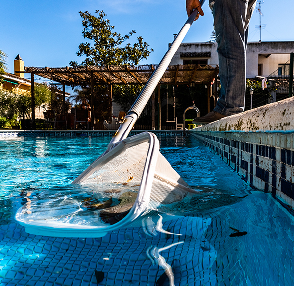 swimming-pool